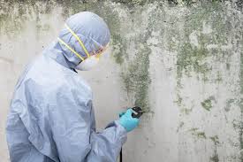 Asbestos and Lead Testing During Mold Inspection in Tillmans Corner, AL